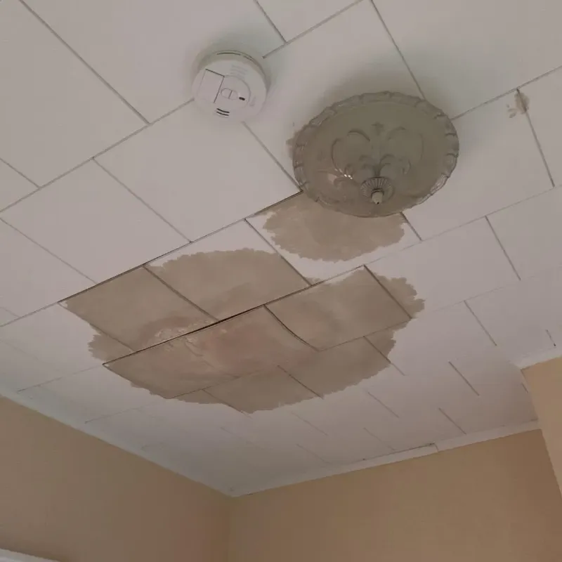 Ceiling Water Damage Repair in Mercer County, WV