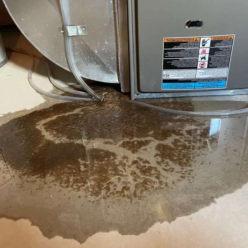 Pipe Burst and Leak Restoration in Mercer County, WV