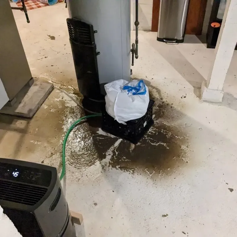 Sewage Backup Cleanup Service in Mercer County, WV
